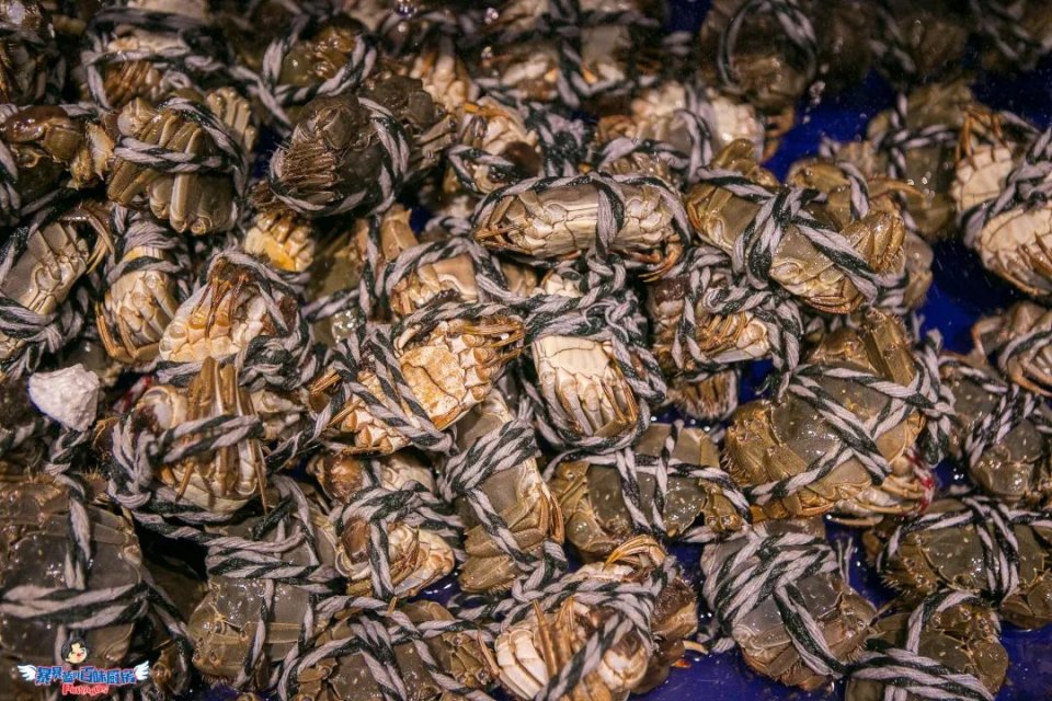 爽到爆的美食,爽到爆吃海鲜