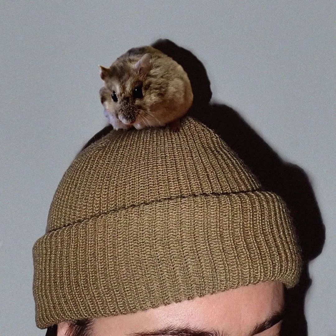 有点诱惑！外国美女设计师拍的“人体”艺术，够大胆，脑洞大开