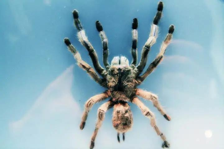 上海科技馆景区,上海科技馆景点介绍