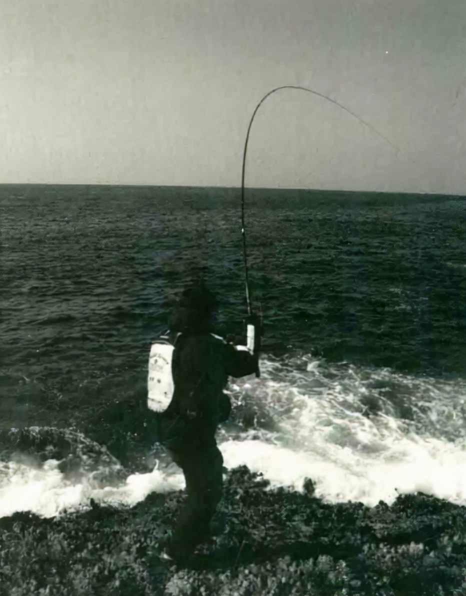 「日本专业矶钓书籍」80厘米超大真鲷鱼日本人气王鱼如何钓到