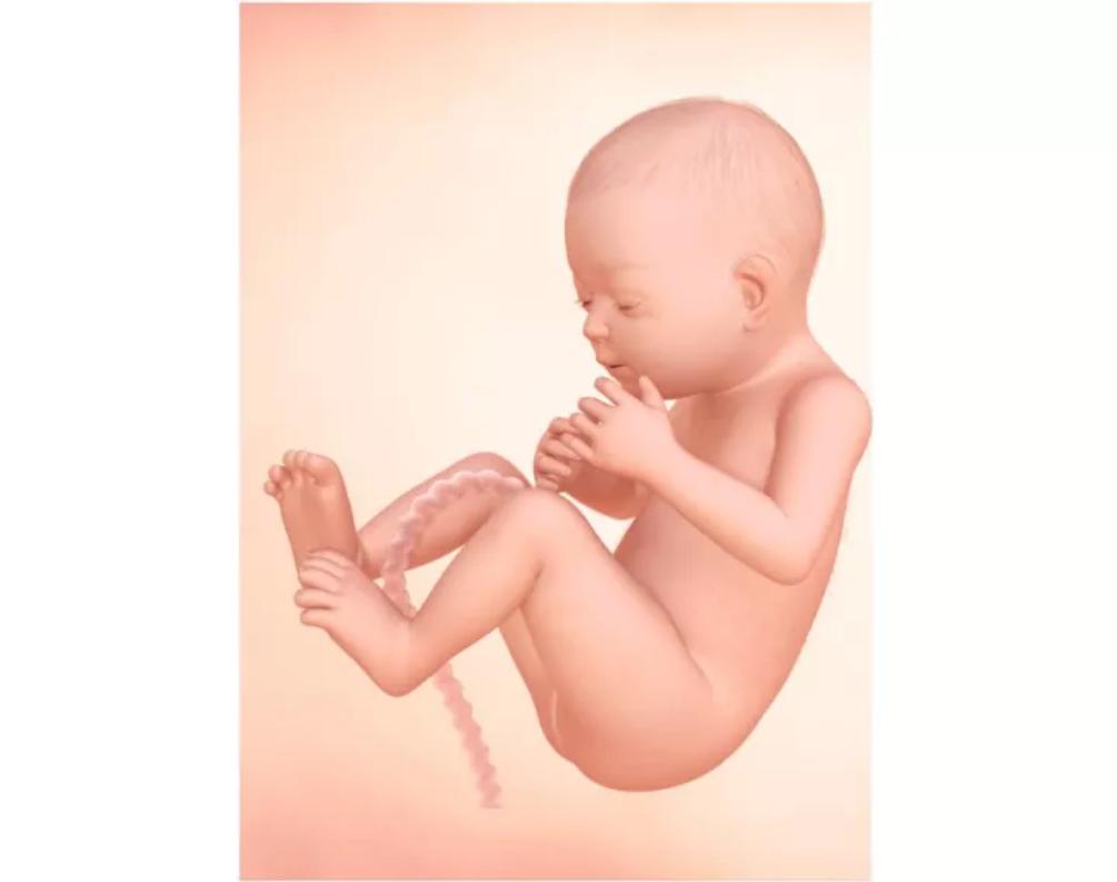 孕期伸懒腰腿抽筋怎么回事,孕期腿抽筋关节骨头咯咯响