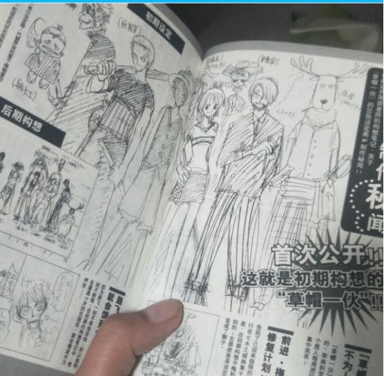 海贼王书籍推荐,海贼王怎么推荐新人看