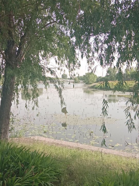 跑步上梁山,跑步上皂山