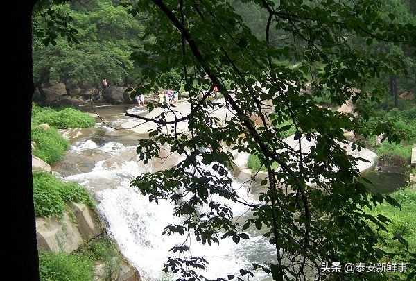 泰山斗姆宫尼姑,泰山斗母宫和斗姥宫