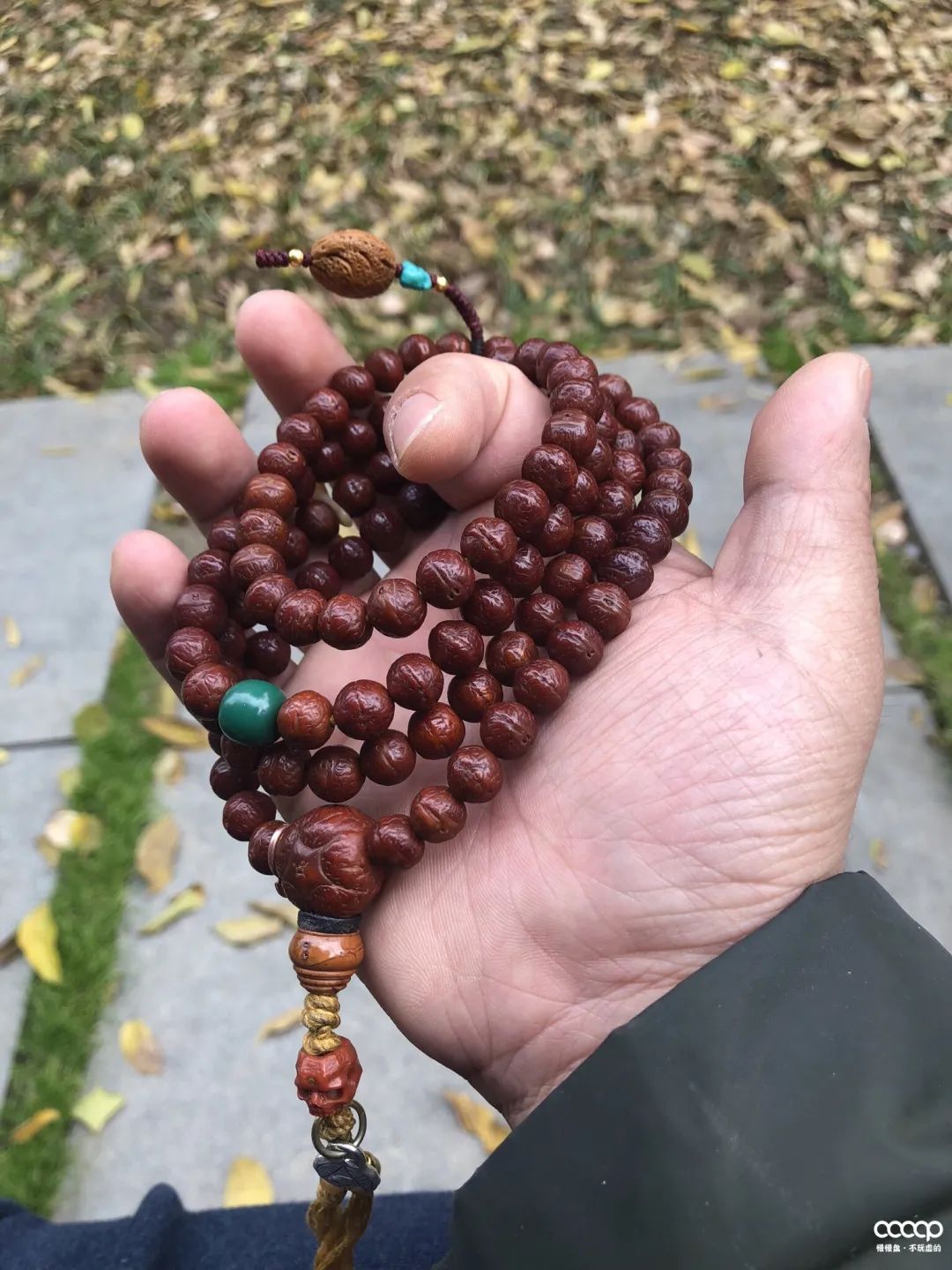 圈子人称“尿素手”！他玩凤眼，一年比我5年玩得还好