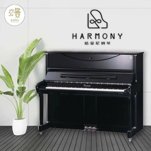 买琴交易注意什么,购古琴的注意事项