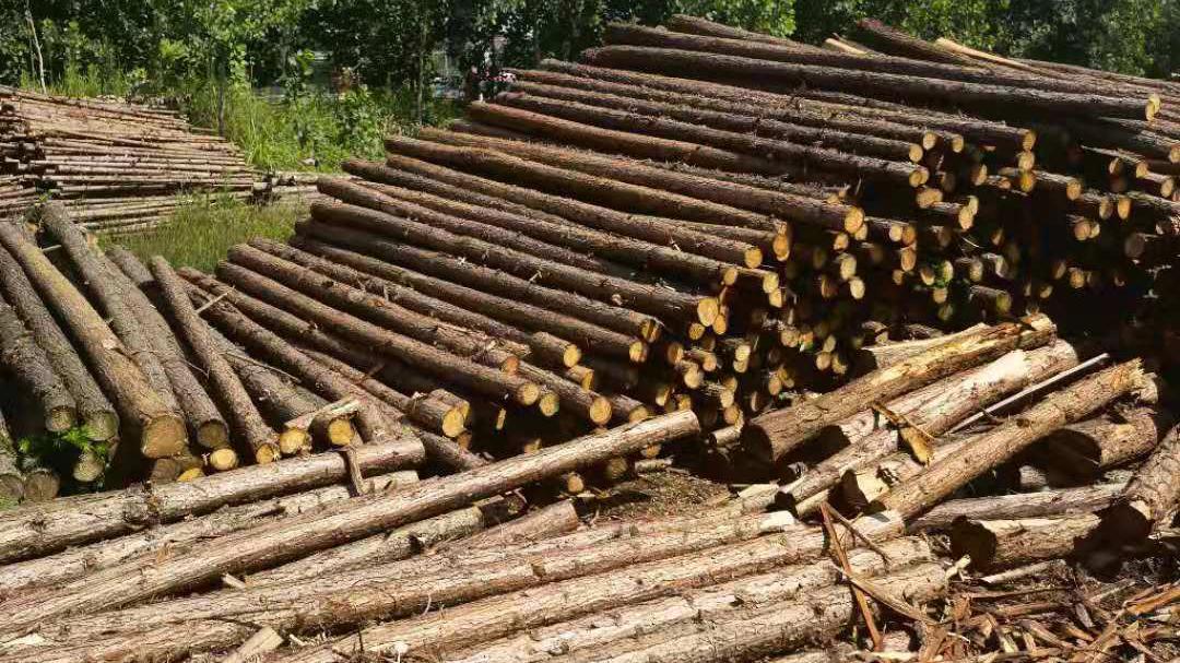 武汉防腐木地板价格,武汉防腐木批发报价