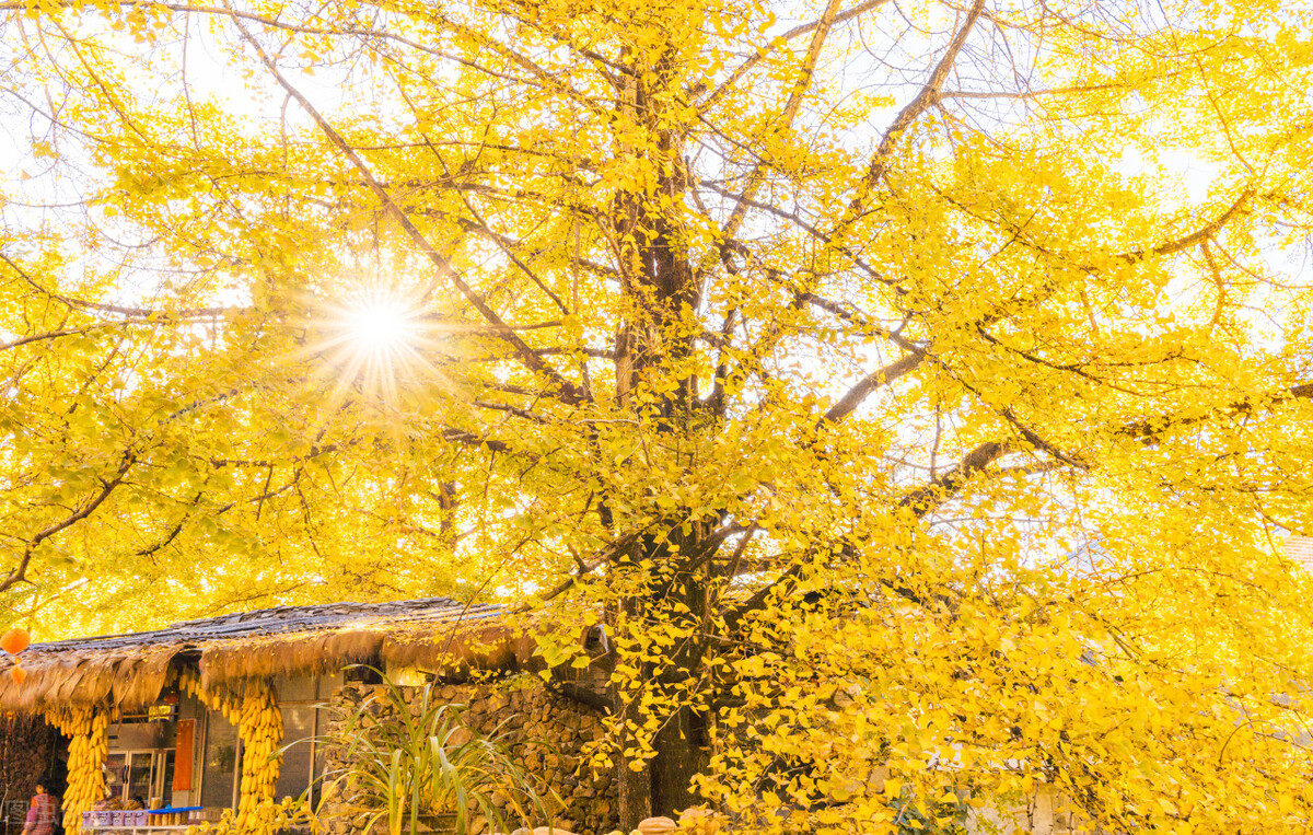 带你看遍云南的美景,风景绝美的云南小众目的地
