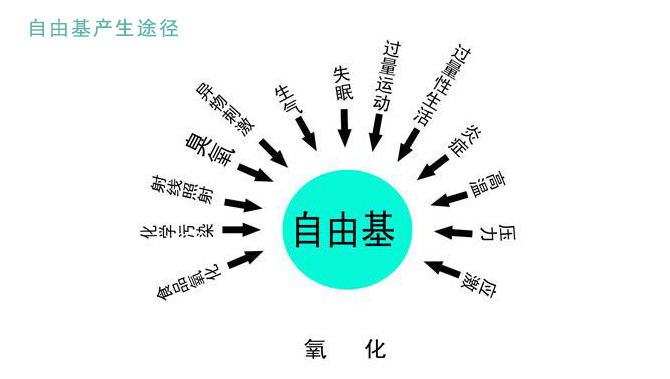 美白持久战,干皮美白护肤流程