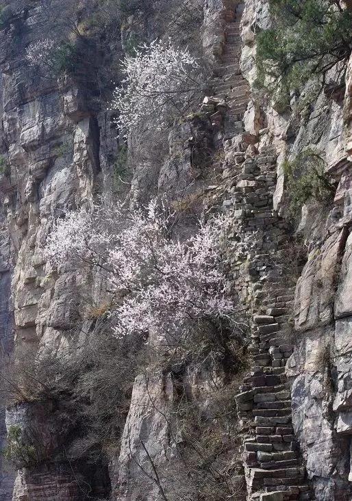 南太行著名天梯盘点，你走过几个