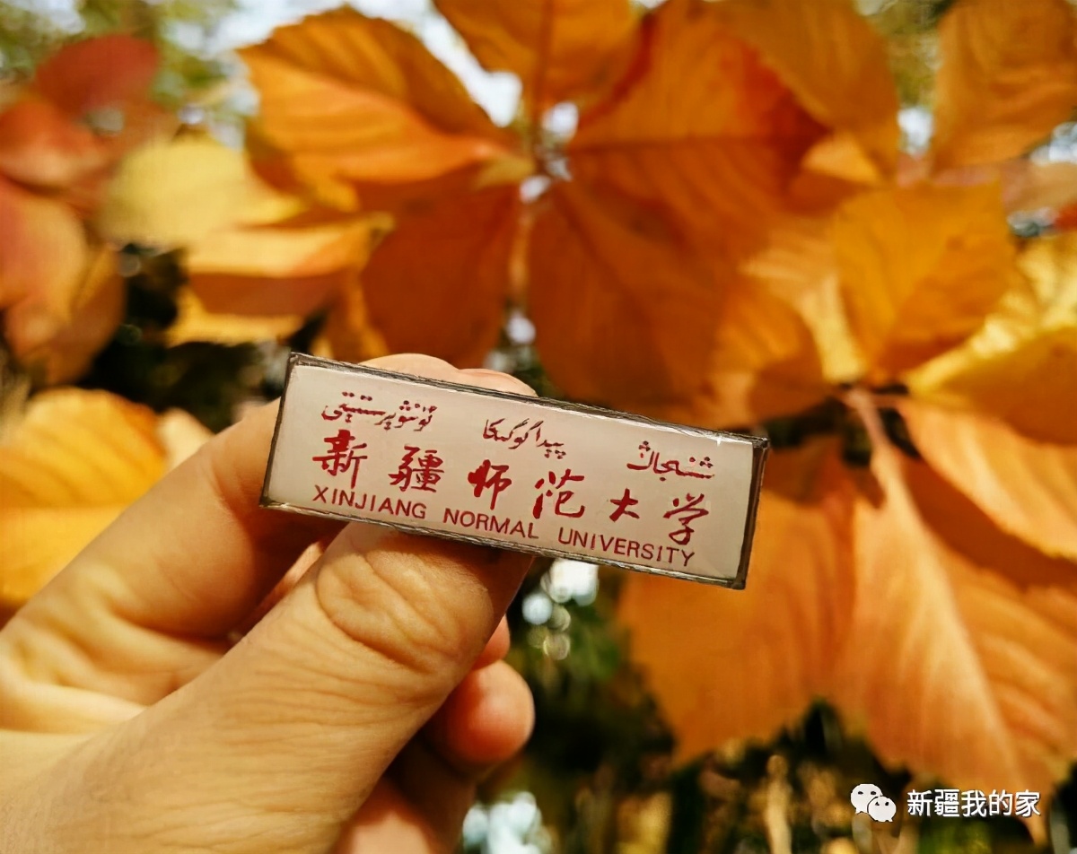 校园美食节登上热搜，*疆新**师范大学没想到你是这样的