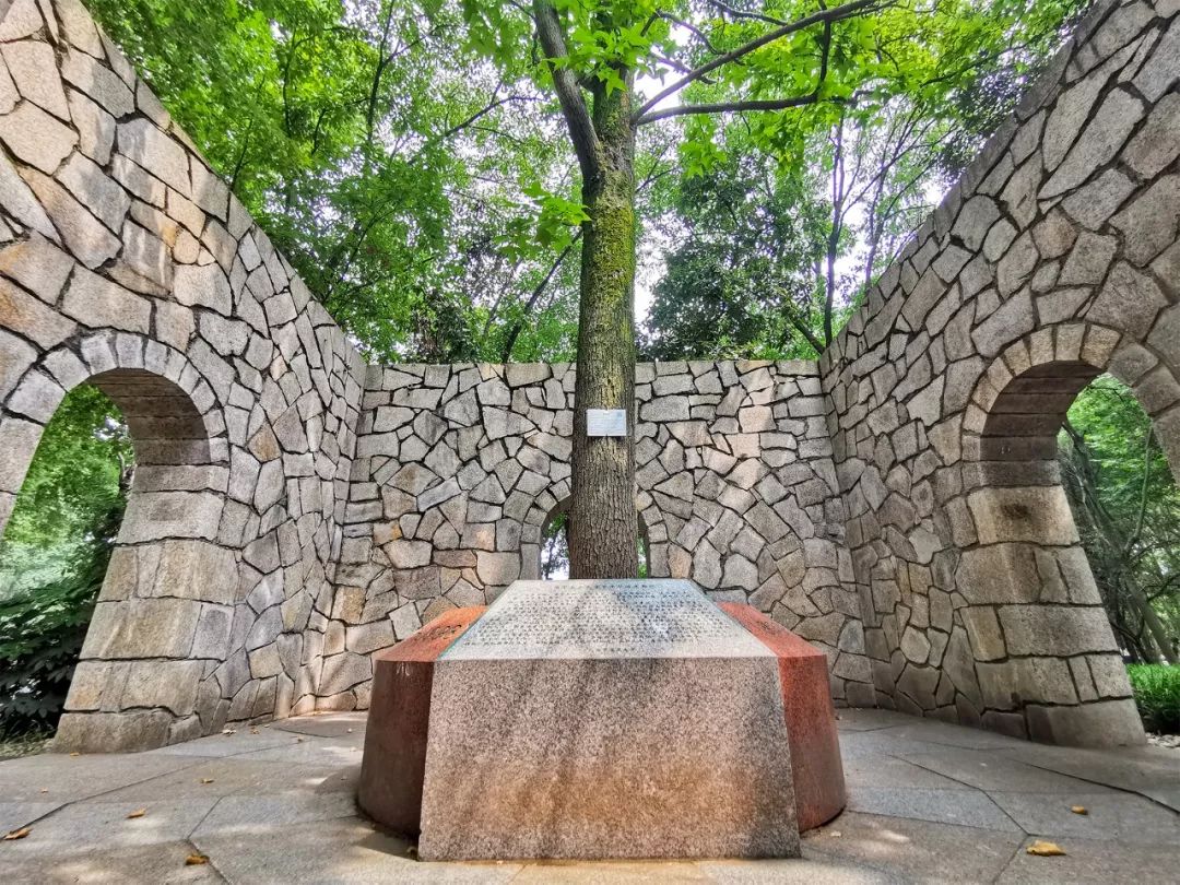 全国第一!华中农业大学真是太太太牛了