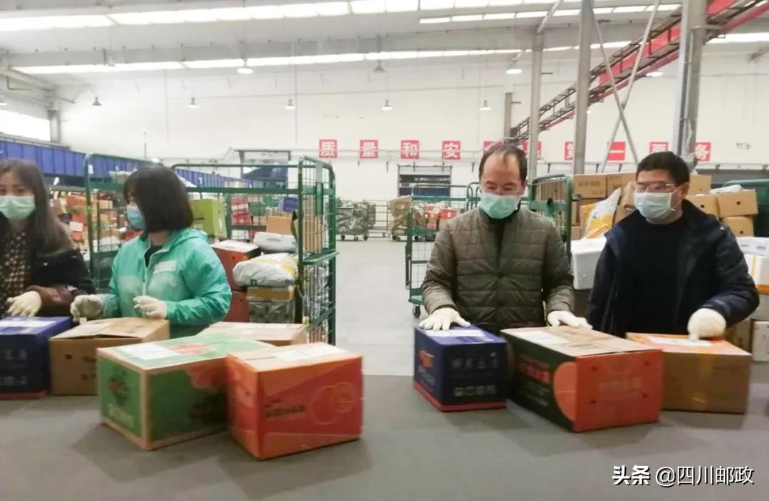 战疫一个月,四川战疫