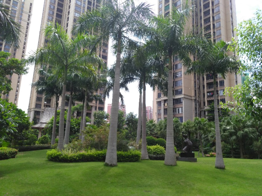 淡水高尔夫1号小区,好小区