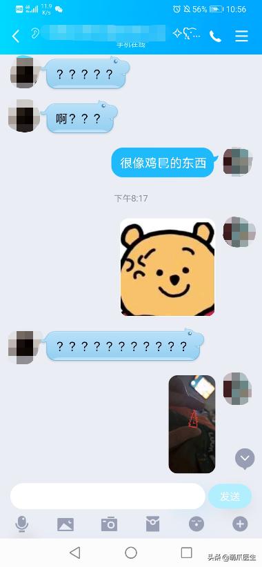 养了一年的母猫居然是公的,养了一年的猫才发现居然是母的