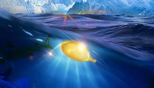 孕妇和婴儿适合什么油,孕妇和乳母一定要补充dha