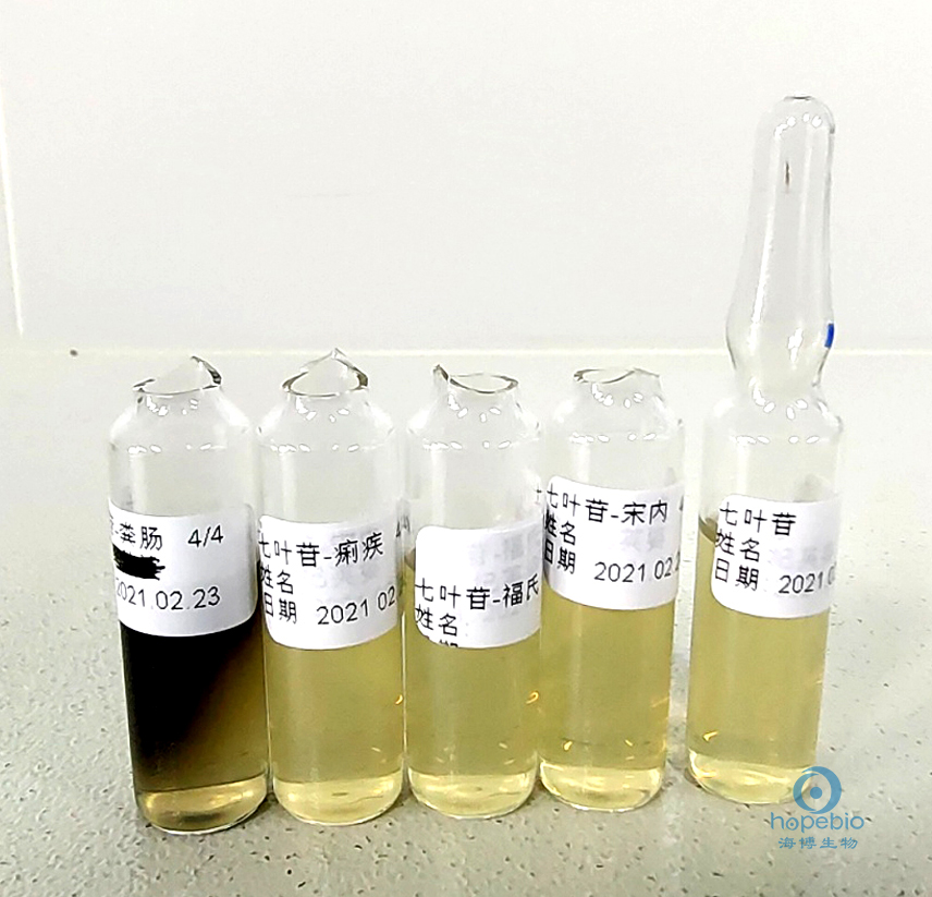 食品中志贺氏菌的检测,志贺氏菌检测标准值是不得检出吗