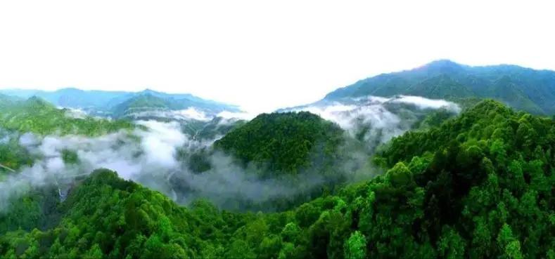 怎么宣传湖南南山国家公园,湖南南山国家公园有哪些景点