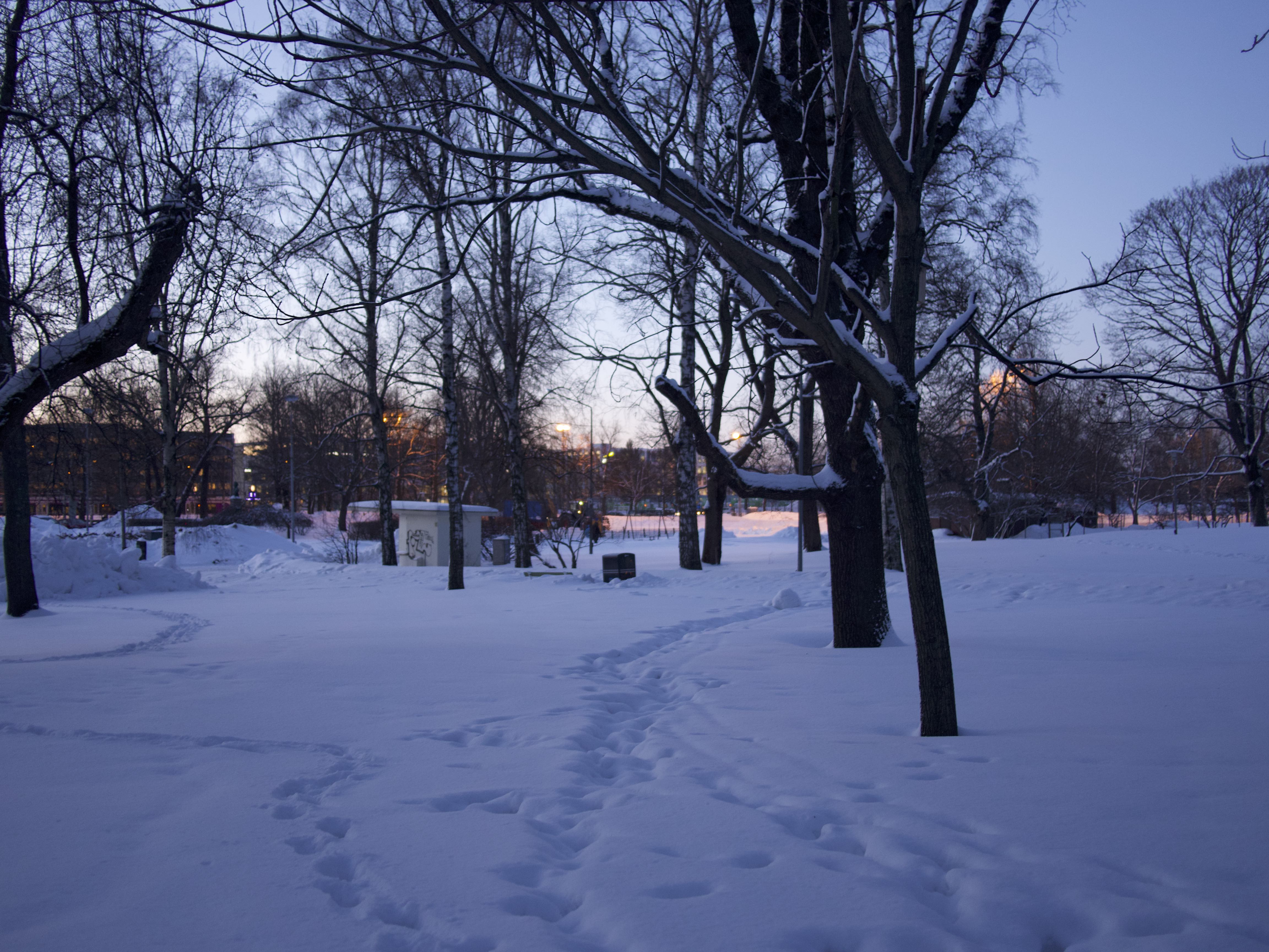 寒冬将至，2019冬季的魔力Taikatalvi-芬兰冬季文化营回顾