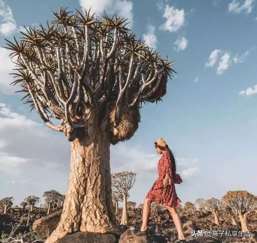 环游世界情侣,环游世界夫妻赚了十个亿