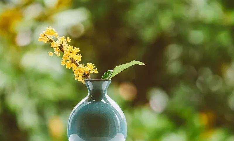 哪些词后面接动名词,哪些词后不接to