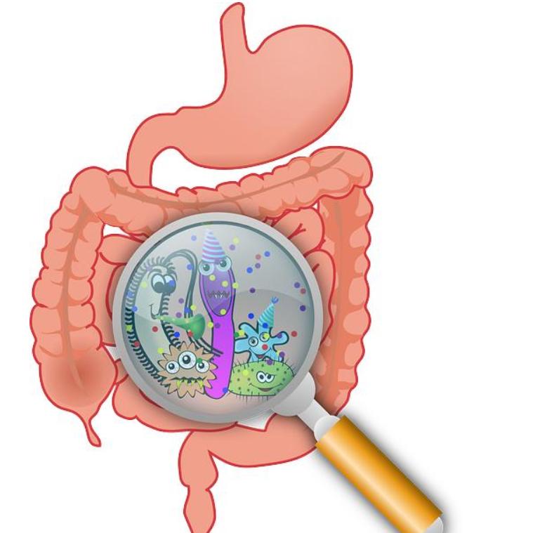 17岁孩子总放屁很臭是不是肠癌,女人放屁多是肠癌晚期吗