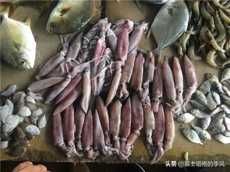 2022春节宝鸡周边自驾免费景点,春节石家庄周边500公里自驾旅游