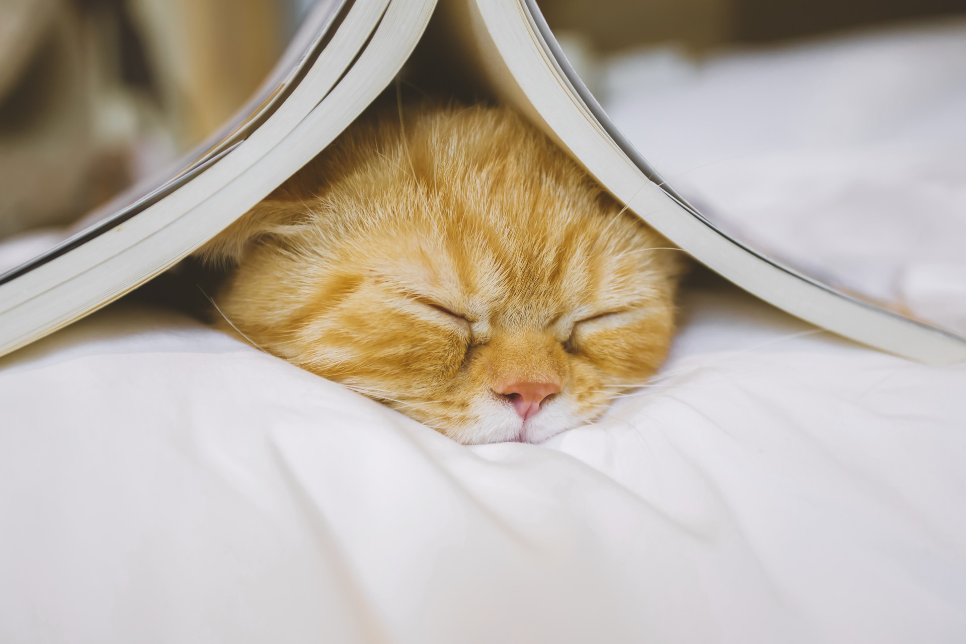 会计分录194,超全会计分录大全