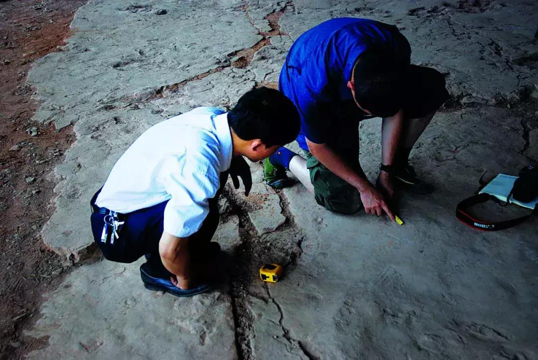 快去綦江的莲花保寨看看，那儿发生了一件事儿