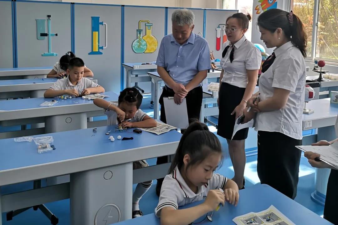 瑗垮畨楂樻柊绗簲灏忓绀惧洟娲诲姩,瑗垮畨灏忓绀惧洟娲诲姩