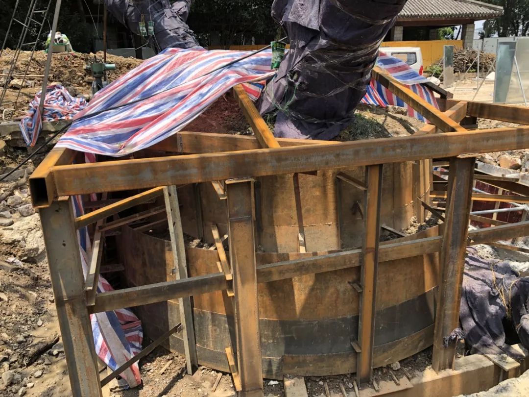 温州望江路上那棵125岁大榕树今天“搬家”！只因…