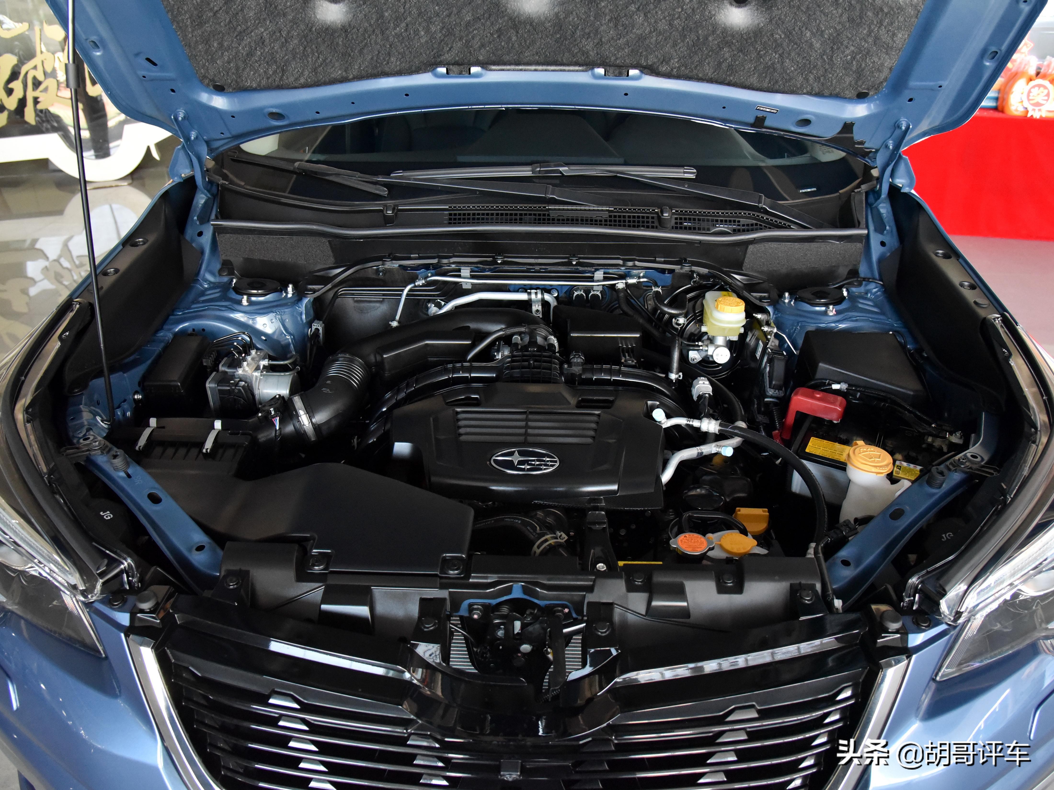 2020娆炬．鏋椾汉鎯婅壋浜浉,19娆炬．鏋椾汉瀹炴媿