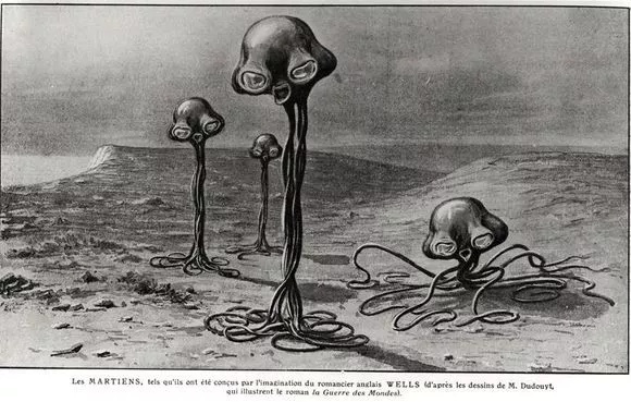 章鱼是不是地球上最聪明的生物 (科学探索章鱼的高智商来自哪里)