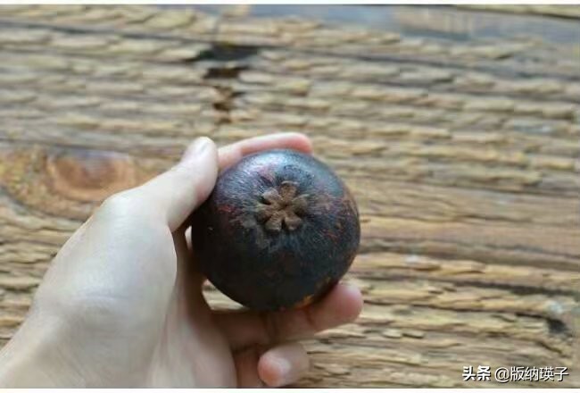 山竹那么好吃你会挑选山竹吗,山竹怎么选又大又多又好吃的