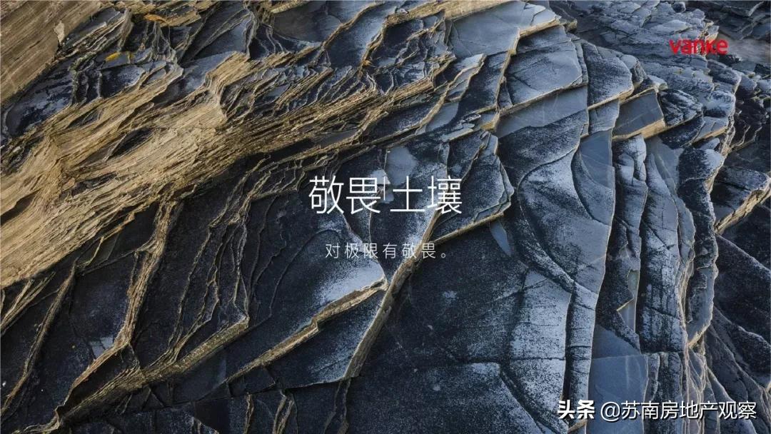 万科能不能入手,万科热销