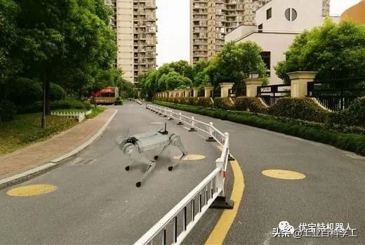 1万8元秋田犬出售,最新一代机器狗