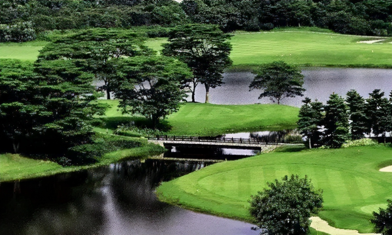 独院别墅出售150万仅此一套,稀缺大独栋别墅要不要卖掉