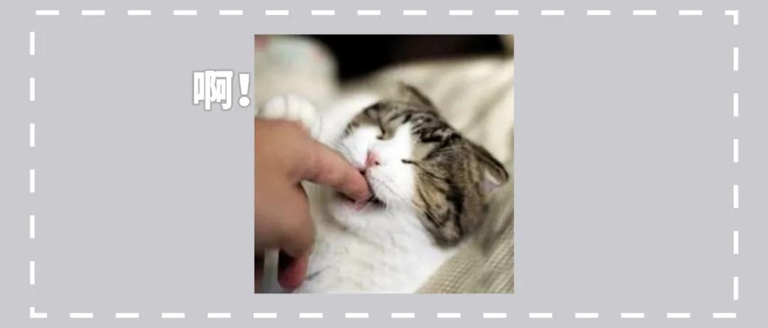 猫咪总是咬人怎么办这几招来教你,猫咪爱咬人怎么办教你一招