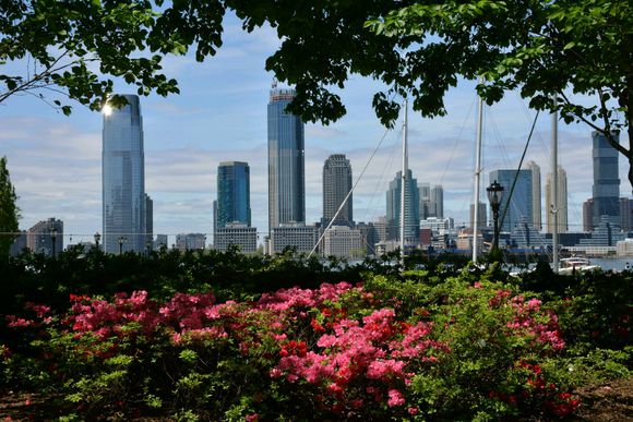 纽约和上海对比哪个好,纽约和上海哪个城市更发达
