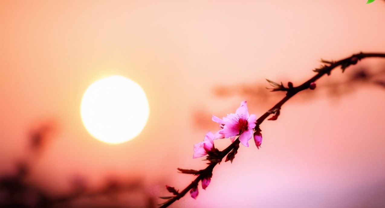 黄正华|客寄他乡两鬓秋,梦回少小一无忧(原创诗词十五首)