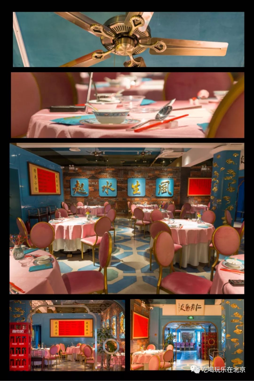 比脸还大的鱼胶,比脸皮厚的花胶