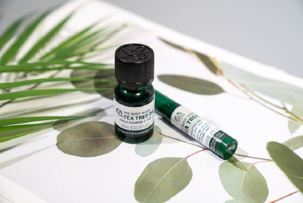 thebodyshop哪些产品好用,thebodyshop官网价目表