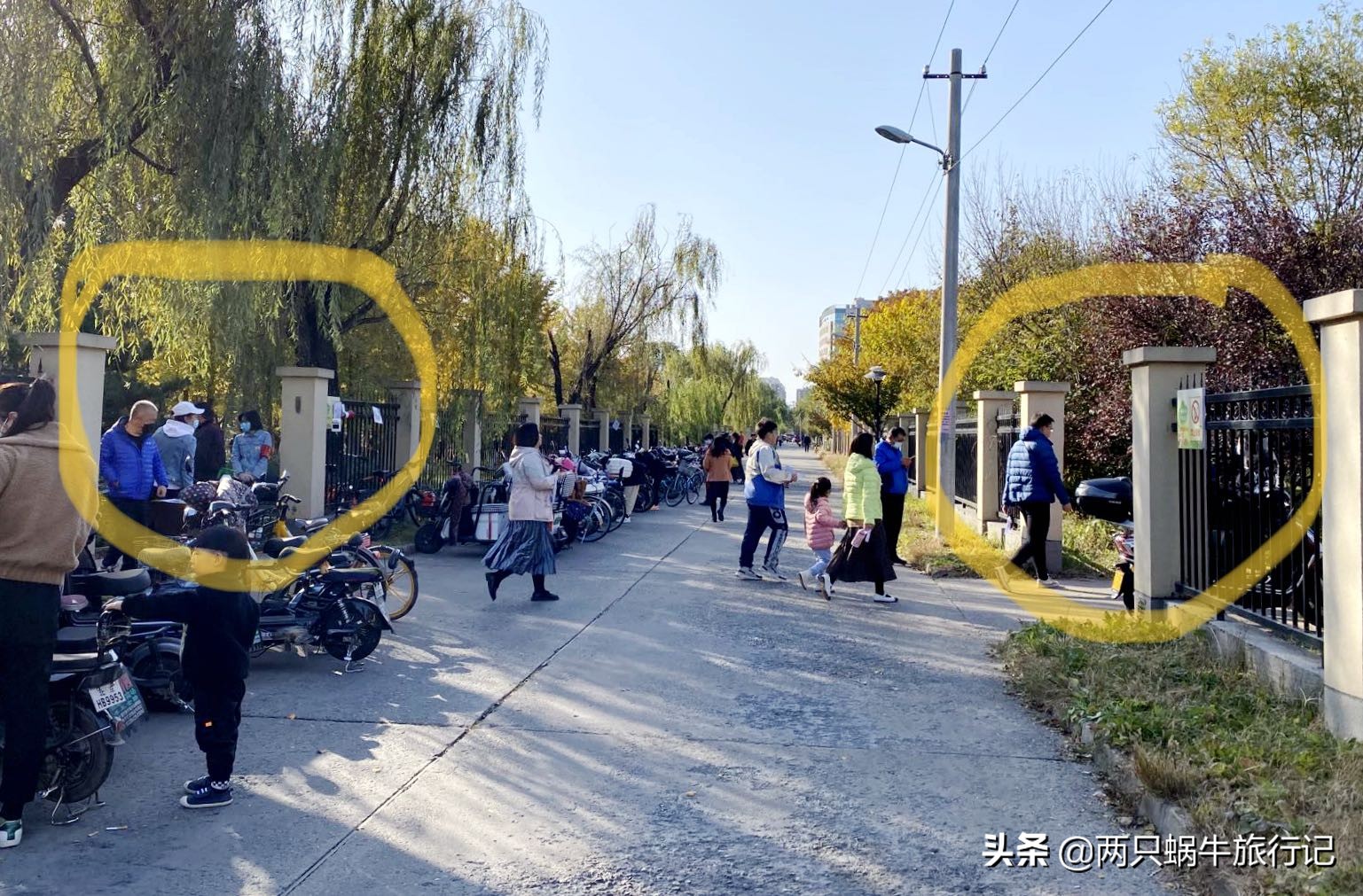 秋天落叶自然的调色盘,调色盘秋天