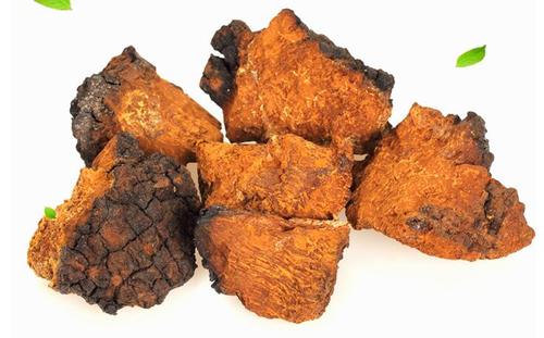 俄罗斯天然桦树茸菌,俄罗斯西伯利亚特产白桦树茸菌菇