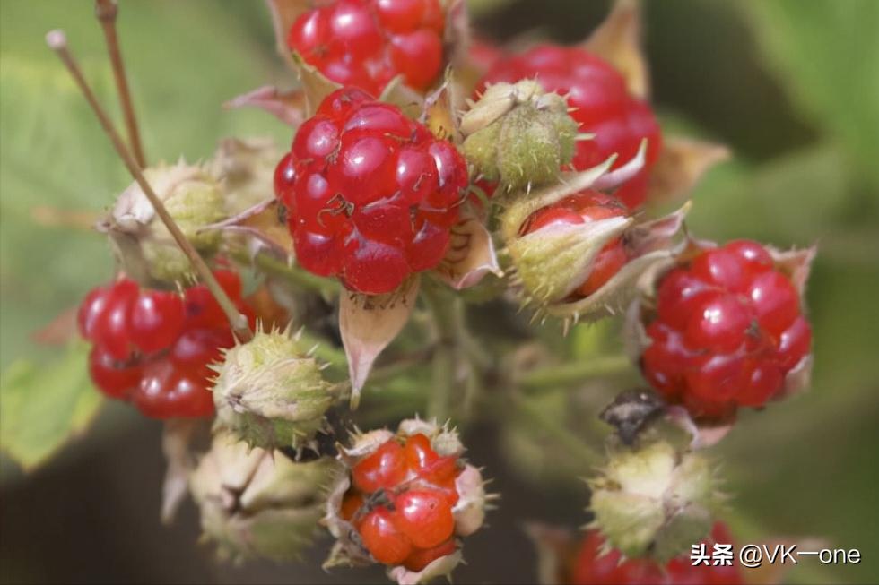 农村80后才看得懂的图和知道的经历