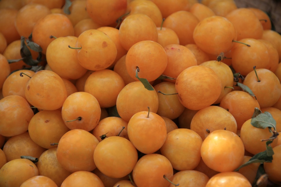 米亚罗-大美理礼县