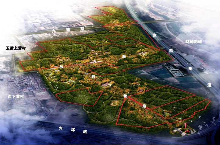 通州最新森林公园,通州南部公园