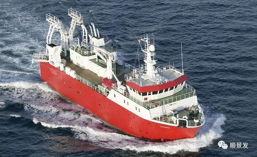 冷冻海鲜进口知识大全,船冻鱿鱼回家怎么处理