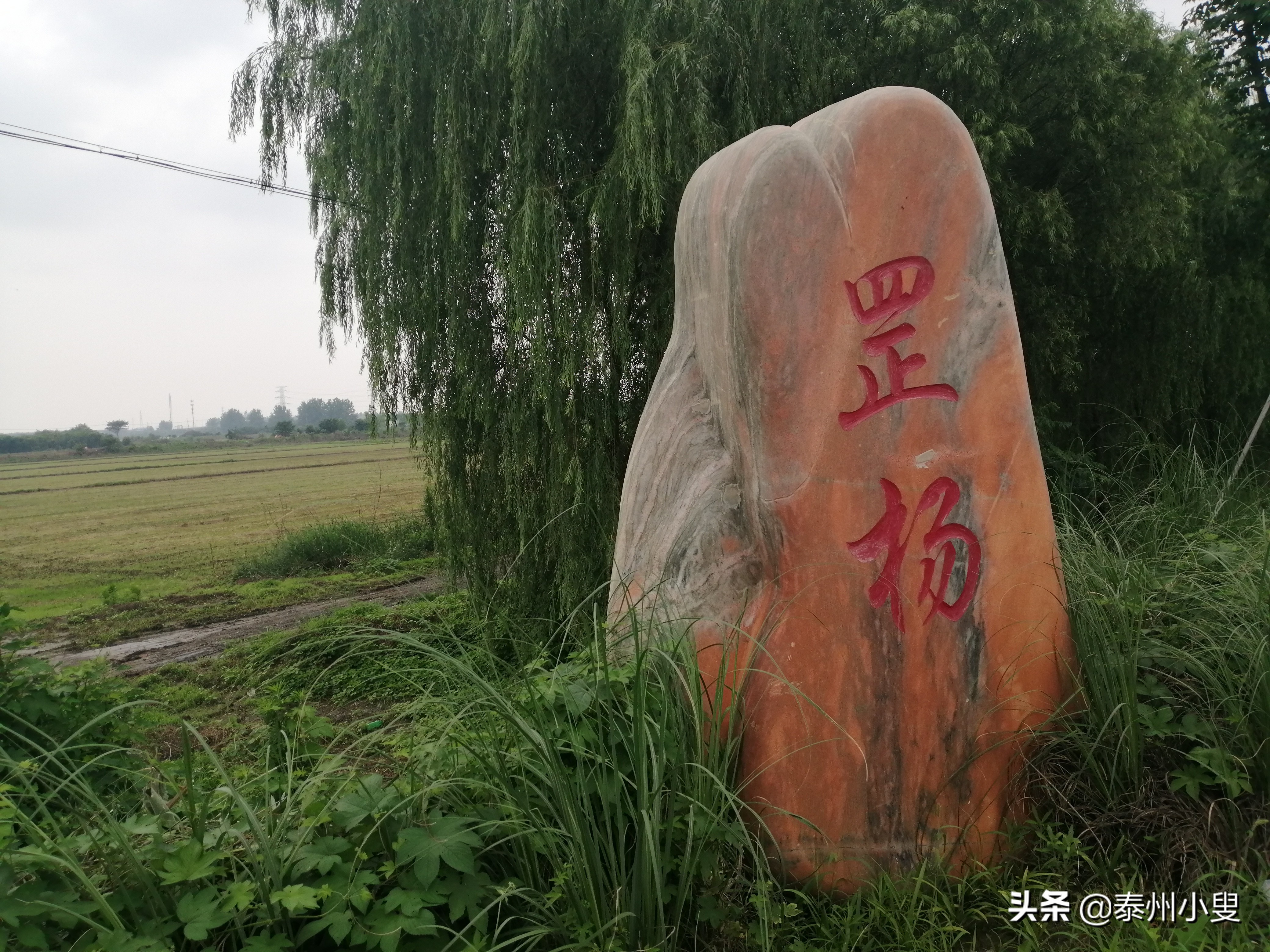 麒麟山绿道骑行,骑行路线麒麟区