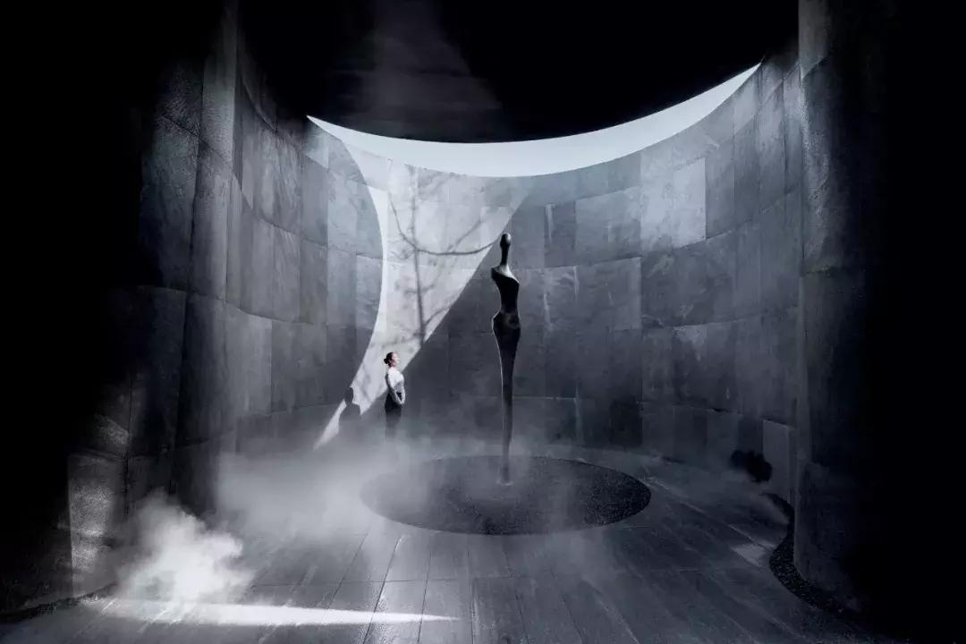 当景观遇上设计,当景观植物遇见灯光